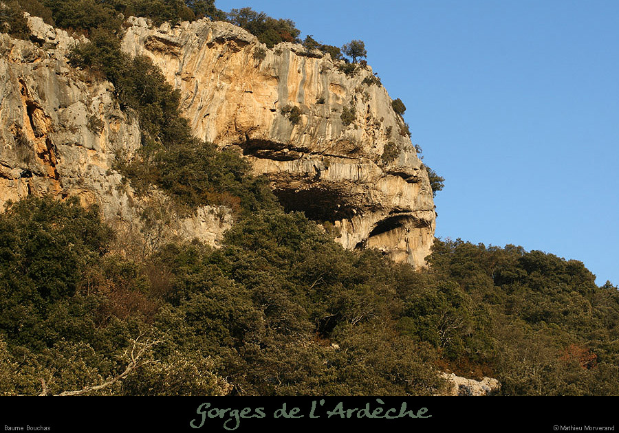 20071216_baumebouchas