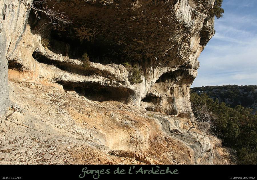 20071225_baumebouchas2