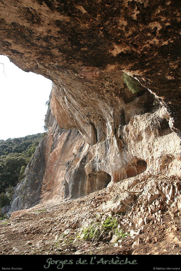 20090307_baumebouchas02
