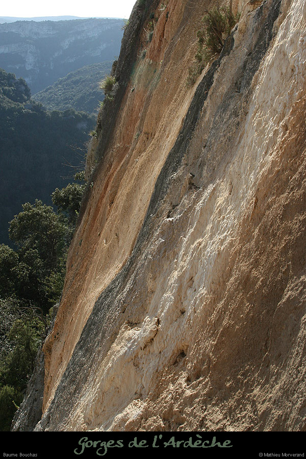 20090307_baumebouchas16