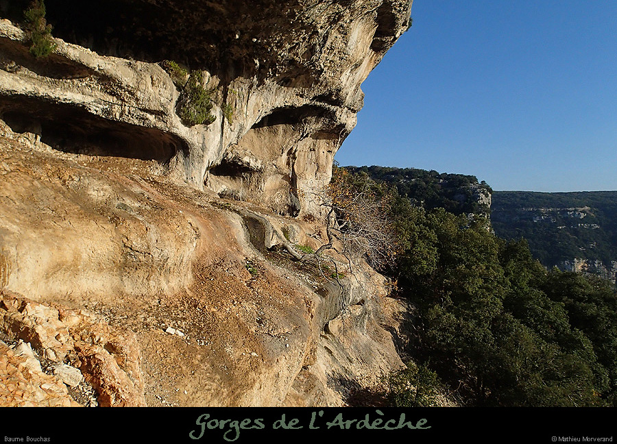 20151108_baumebouchas3