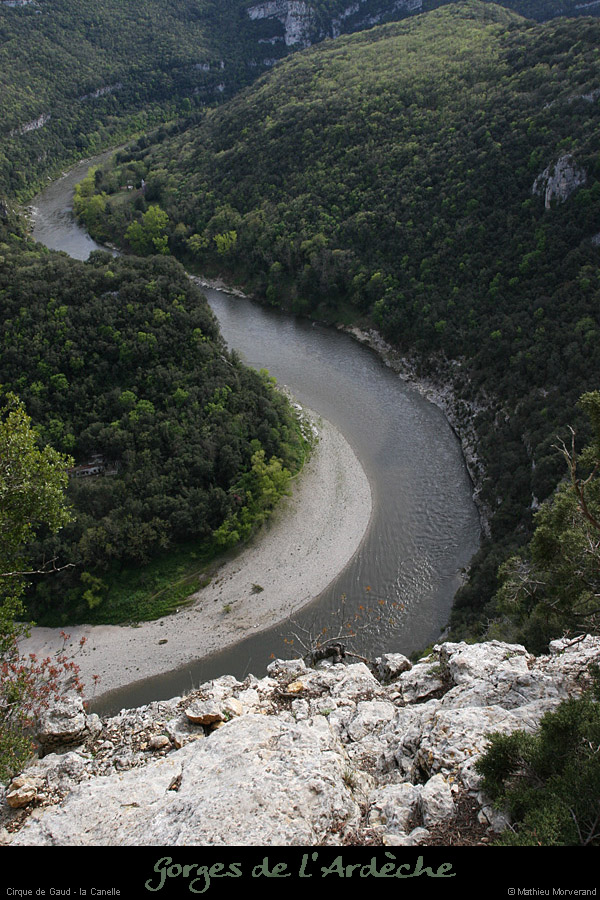 20080419_gaud_canelledevirehte2