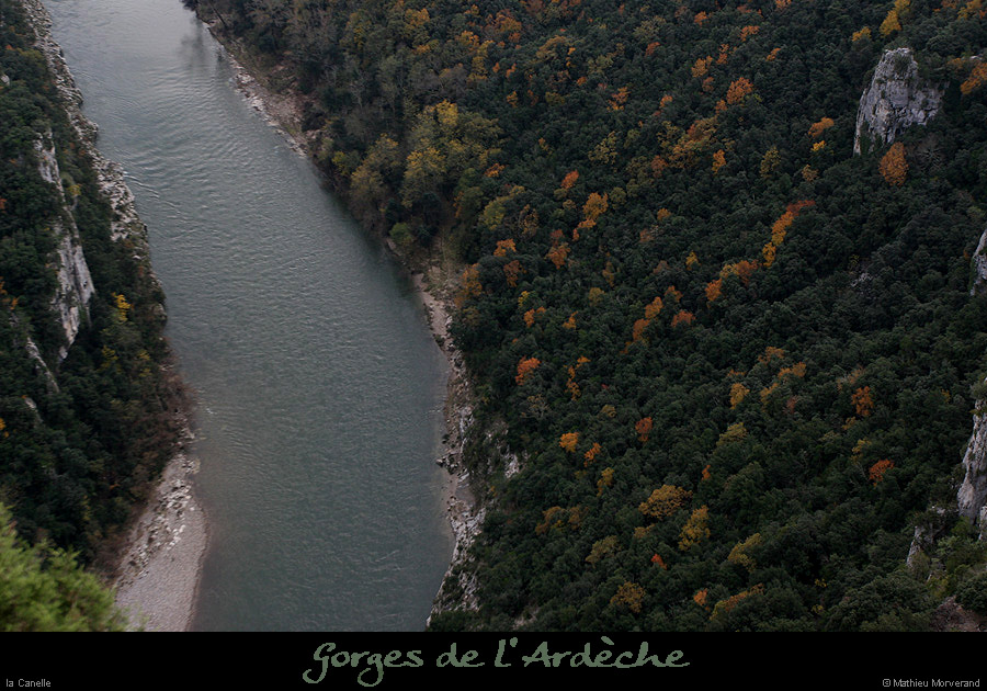 20081109_canelle
