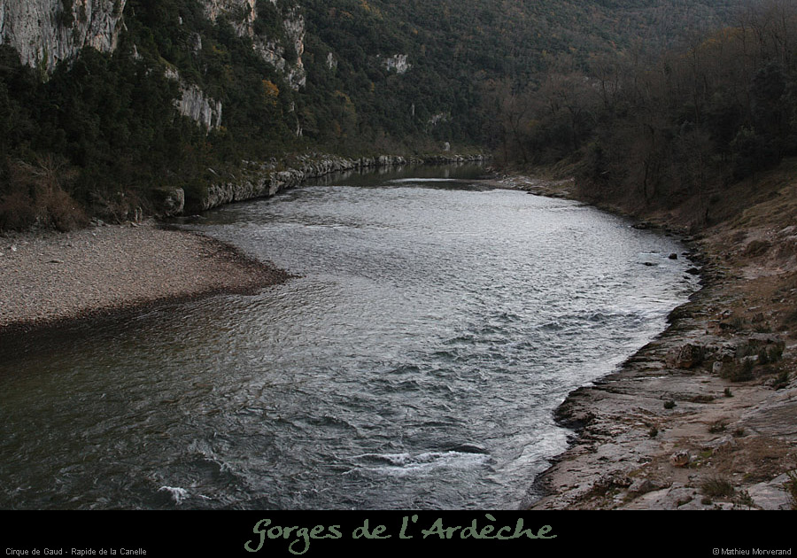 20081207_canelle