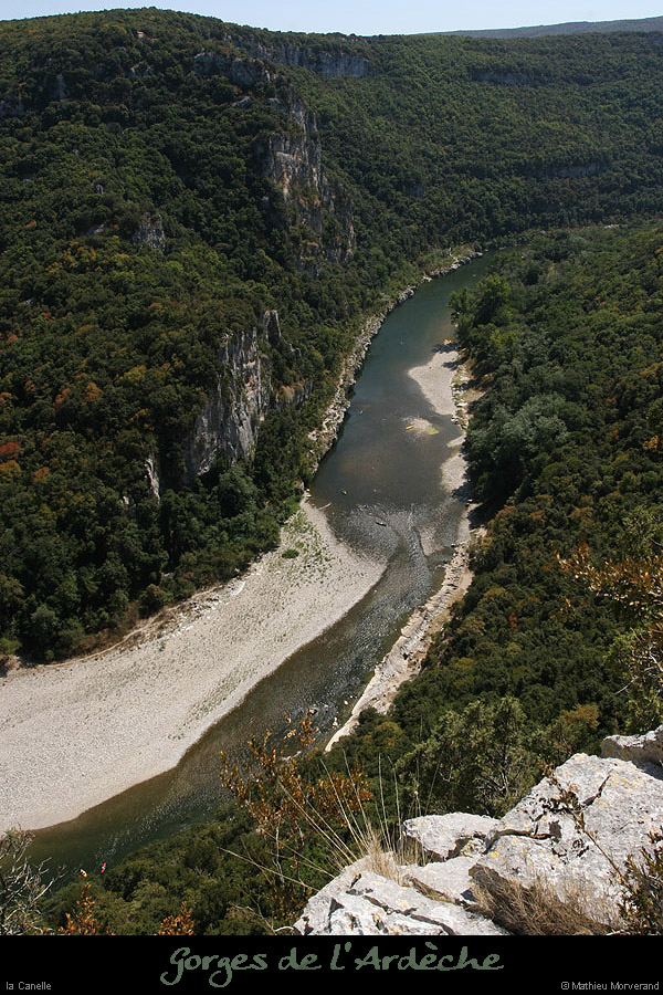 20090820_caneledevireint1