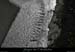20080214_canelle