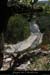 20090820_caneledevireint2