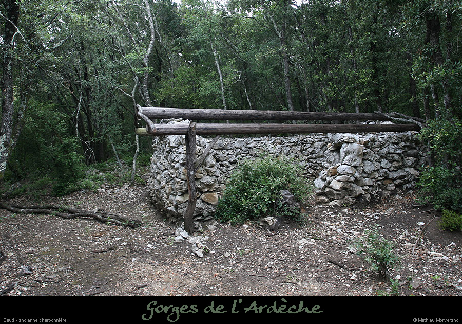 20090721_gaud_charbonniere