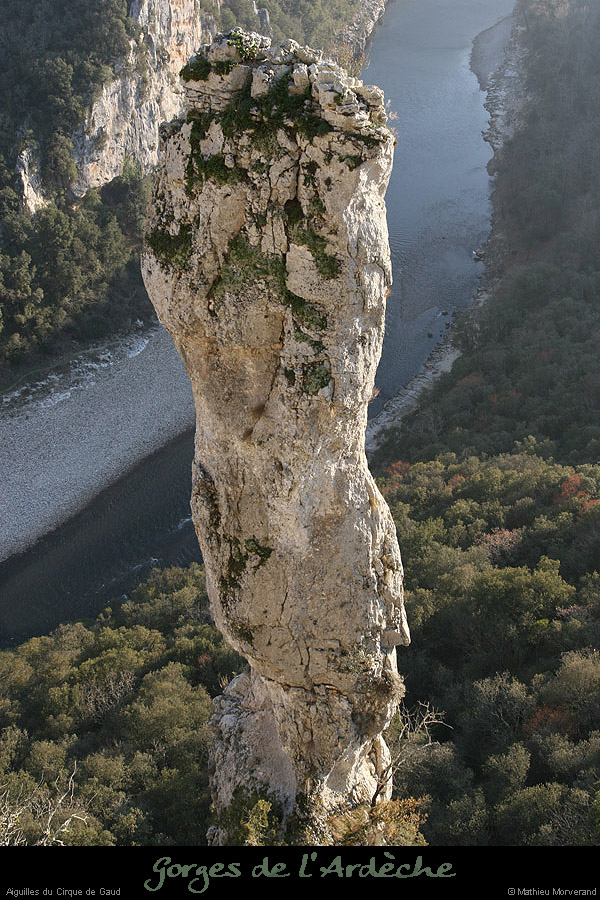 20071216_cirquegaudnord_aguille1_1