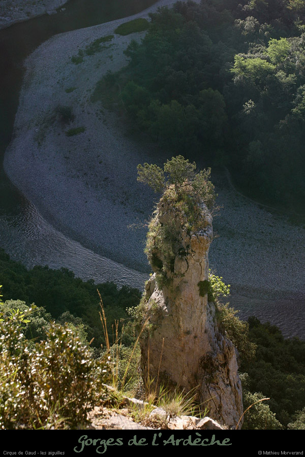 20080814_003gaud