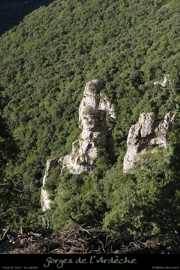 20080814_006gaud