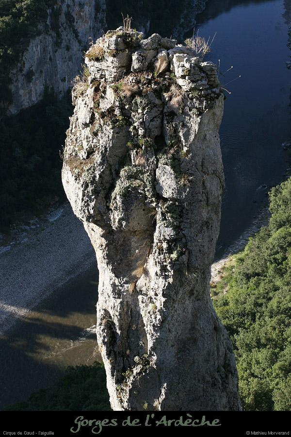 20080814_008gaud