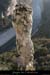 20071216_cirquegaudnord_aguille1_1