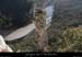 20071225_cirquegaudnord_aguille1_02