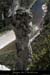 20080407_ciquegaudnordaiguille3