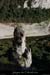 20090830_cirquegaud_aiguille2_5