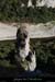 20090830_cirquegaud_aiguille2_6