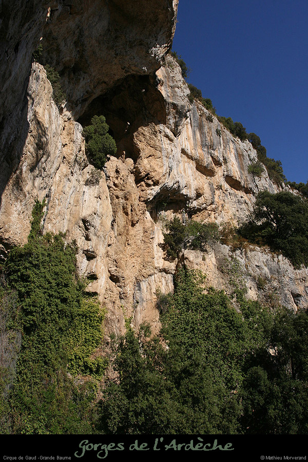20090830_cirquegaud_grdebaume
