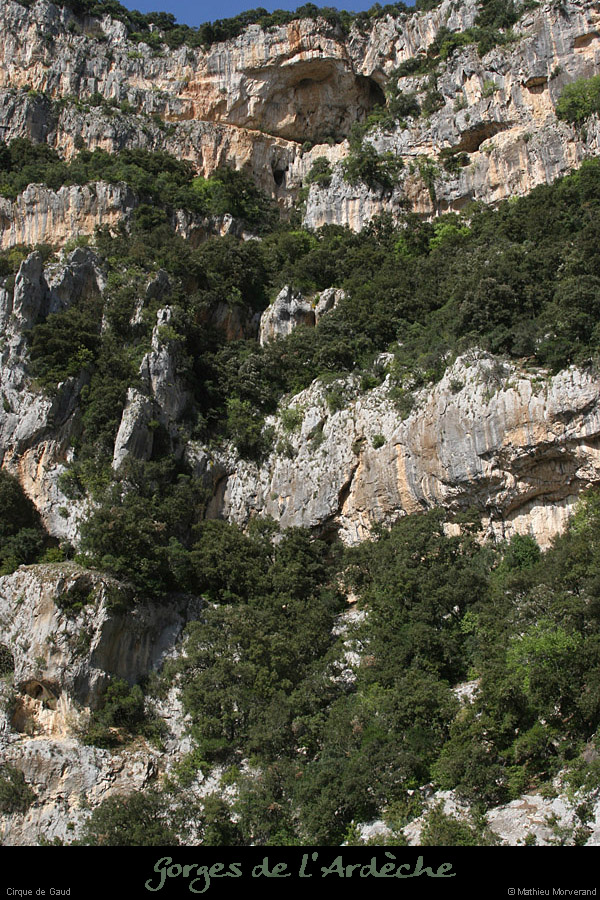 20110413_cirquegaud_grdebaume5