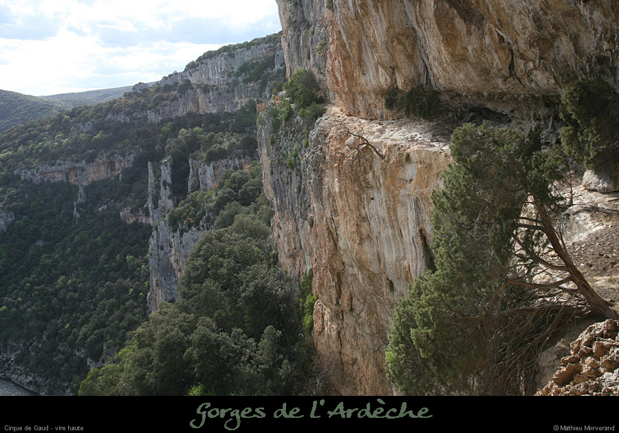 20080419_gaud_virehtepresgrdebaume2