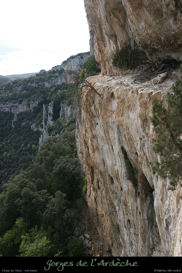 20080419_gaud_virehtepresgrdebaume3