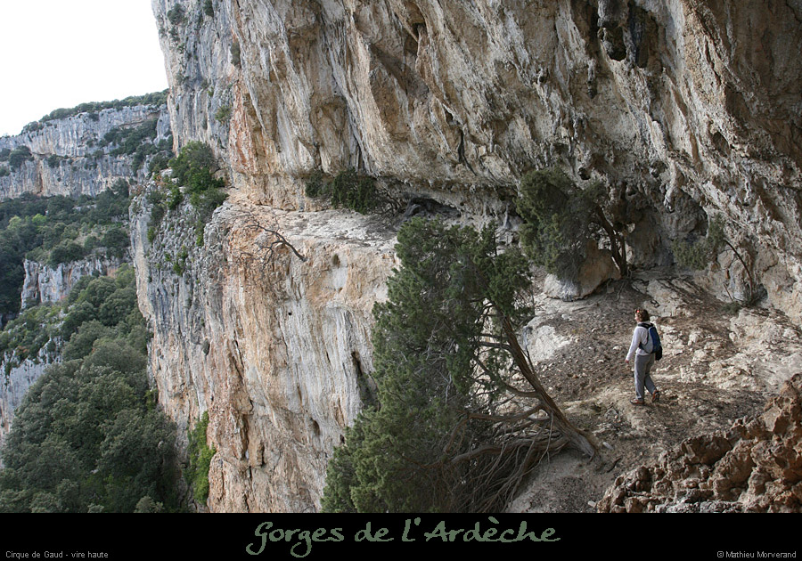 20080419_gaud_virehtepresgrdebaume4