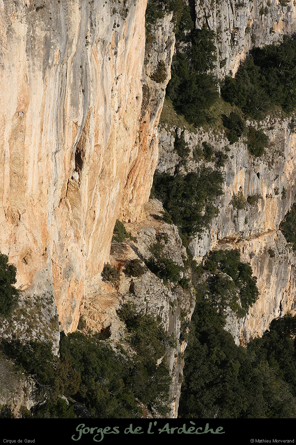 20090307_cirquegaud_viresup1