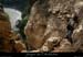 20080419_gaud_grdebaumefaille2