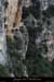 20100327_gaud_virecaprine2