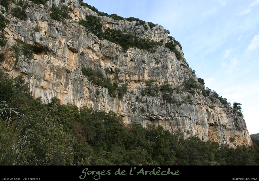20080301_gaud_vireint2
