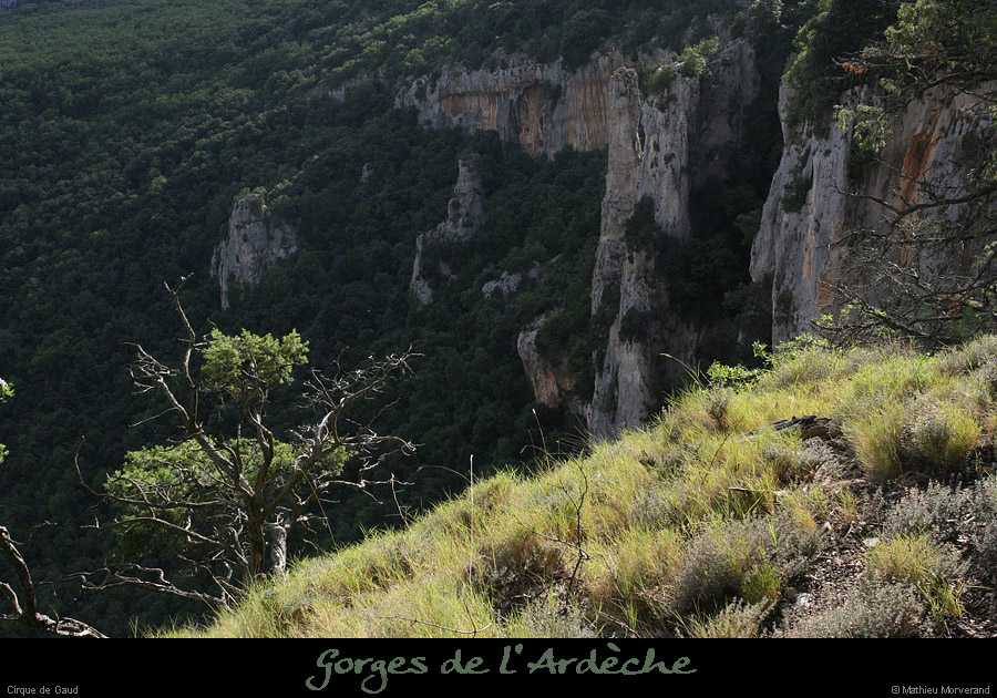 20080813_098gaud