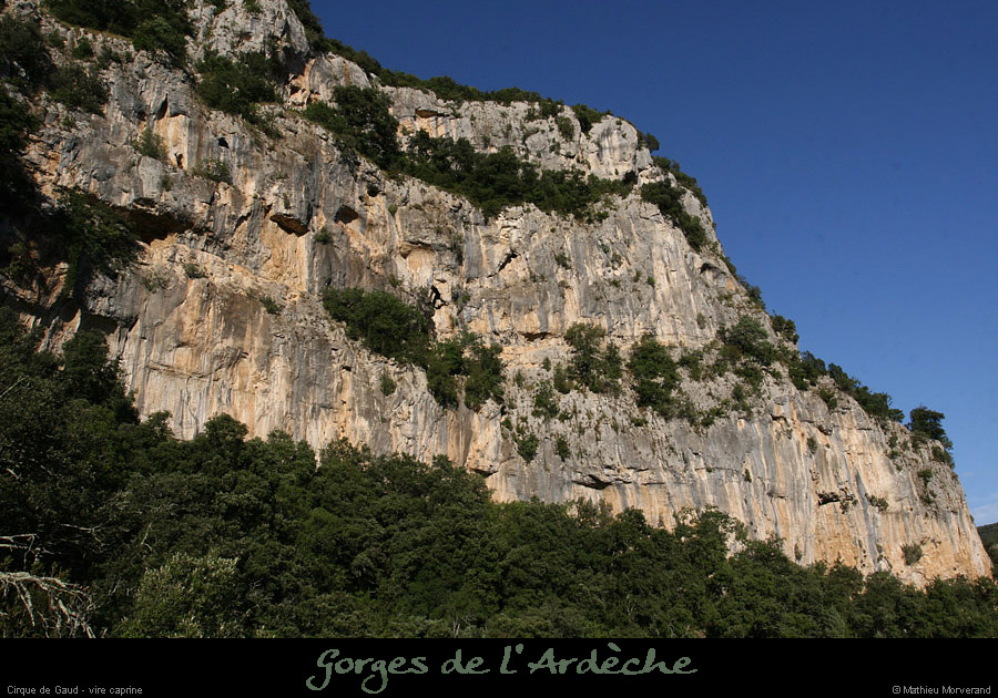 20080813_139gaud