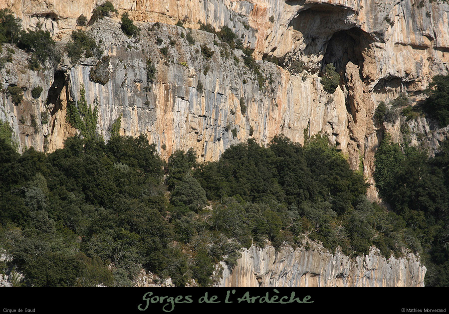 20090307_cirquegaudvires2