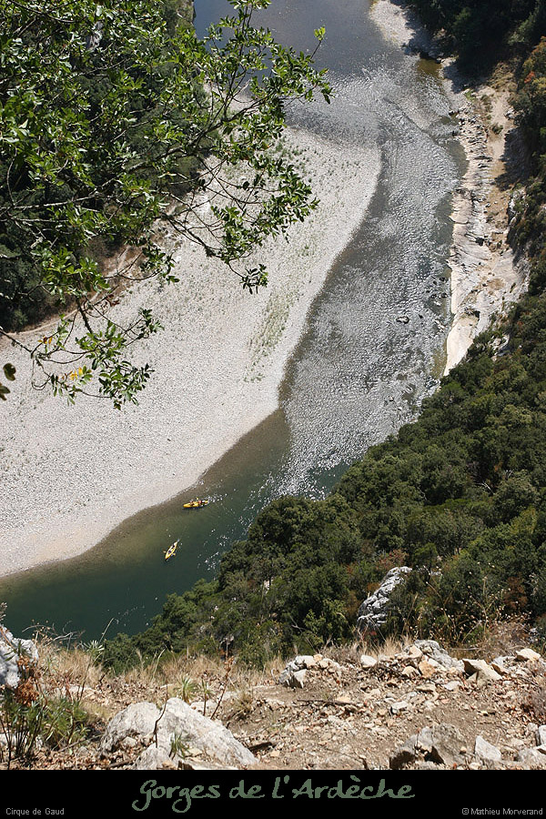 20090820_caneledevireint4