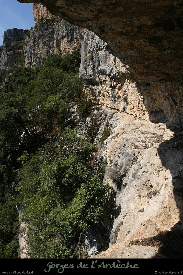 20090820_virecaprineint06