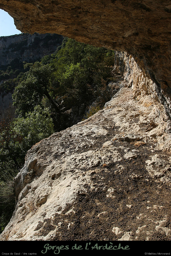 20090830_cirquegaud_virecaprine2