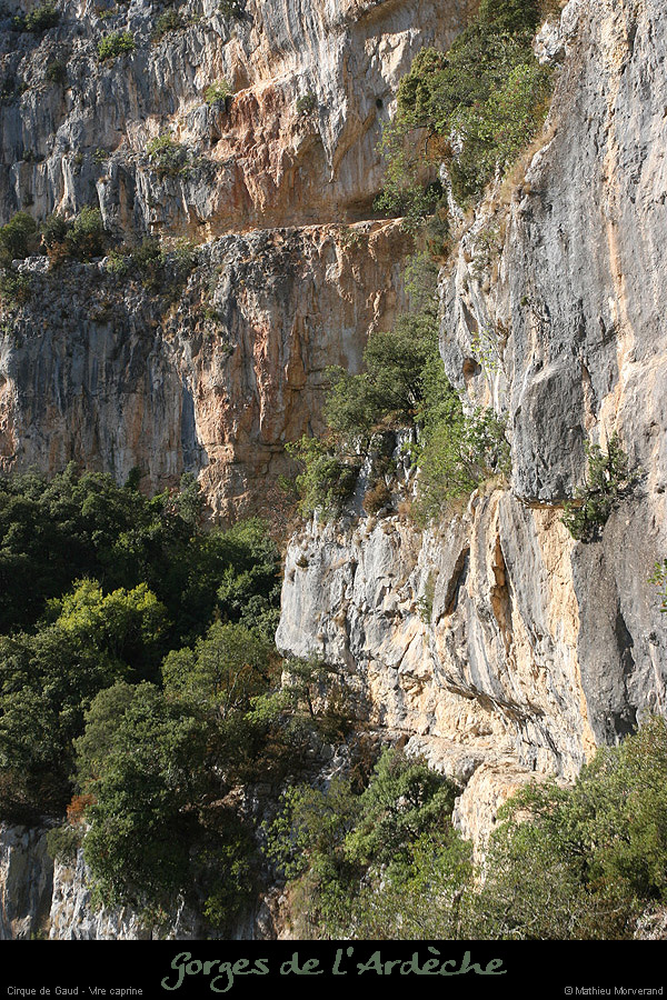 20090830_cirquegaud_virecaprine6
