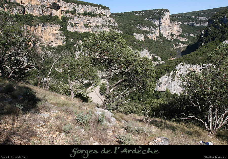 20100829_cirquedegaud_vireintparw1
