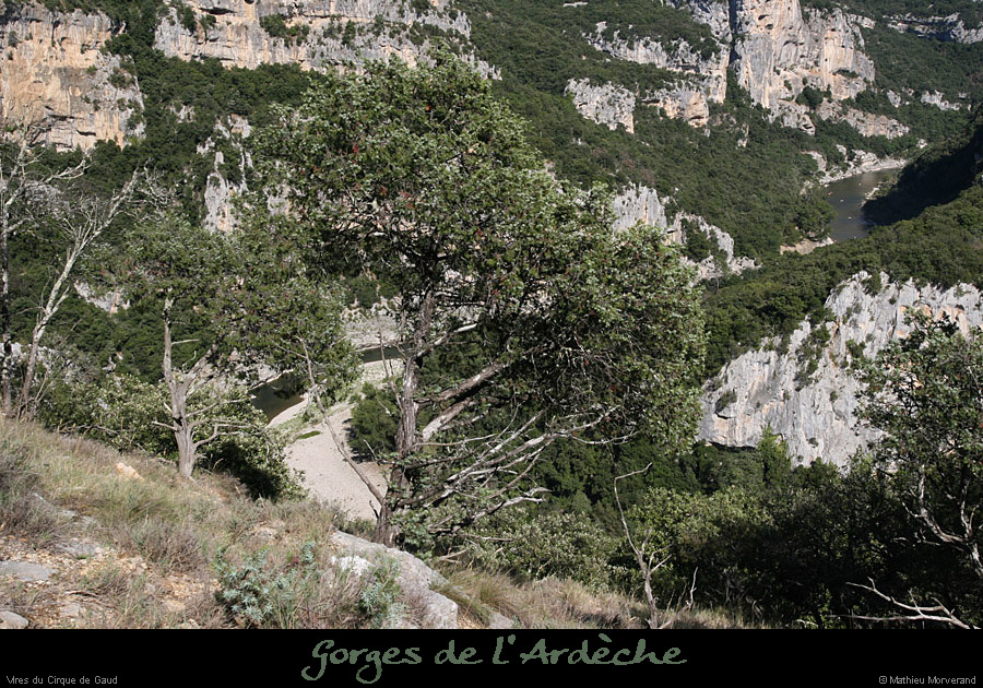 20100829_cirquedegaud_vireintparw2