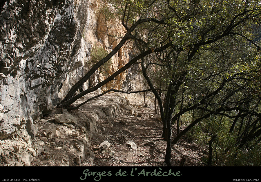 20080302_cirquegaud_vireinf1