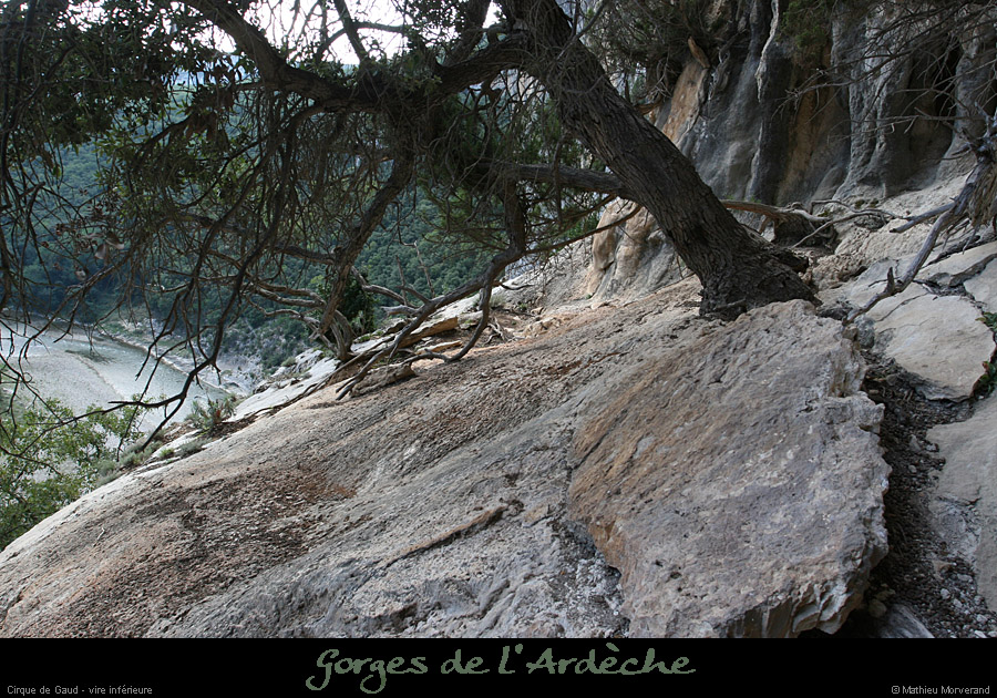 20080914_gaud_vireinf