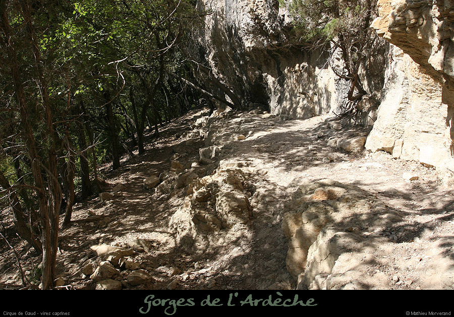 20090820_cirquegaudvireinfw