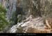 20080301_gaud_vireinf_baume2