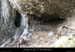 20080301_gaud_vireinf_baume3