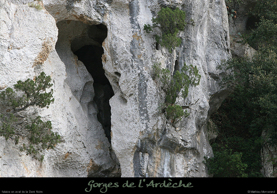20050709_dtnoirefalaise