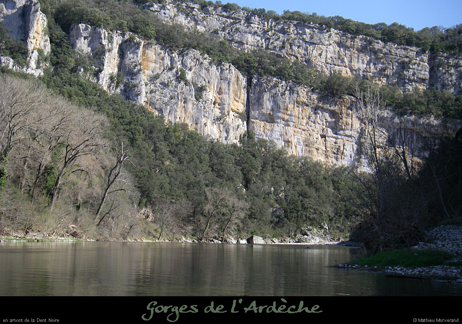 20080318_dtnoiream