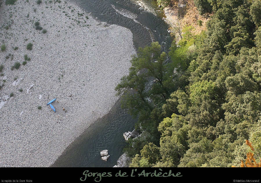 20090820_dentnoiredebelvgaud