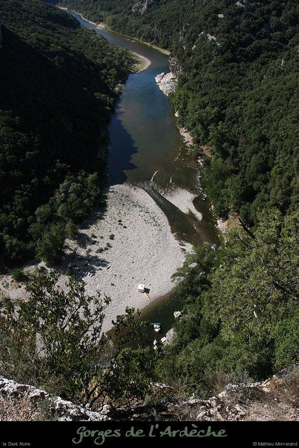 20100829_dentnoiredecretedegaud2