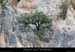 20050710_dtnoirefalaise