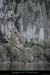 20060907_gaudam1